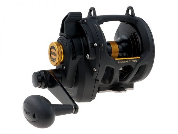 839691_wid_800_hei_600_op_sharpen_1-600x450 Buy PENN Squall Two-Speed Lever Drag Reel
