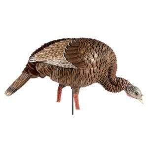Buy Avian-X HDR Heavy-Duty Realism Full-Body Feeder Hen Turkey Decoy