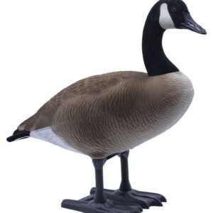 Buy Big Foot B2 Full-Body Canada Goose Decoy Packs – Feeder