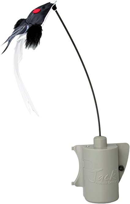 FOXPRO-FoxJack-Attachable-Game-Call-Predator-Decoy Buy FOXPRO FoxJack Attachable Game Call Predator Decoy