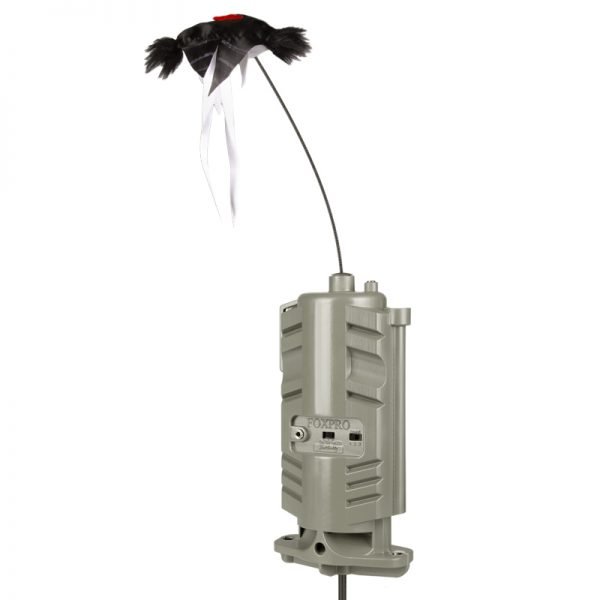 FOXPRO-Jack-Daddy-Decoy-600x600 Buy FOXPRO Jack Daddy Decoy