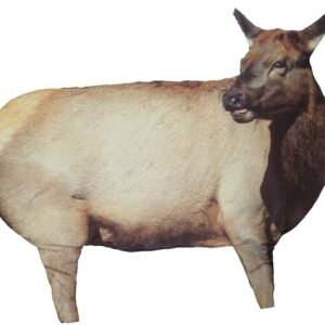 Buy Montana Decoy RMEF Collapsible Cow Elk Decoy