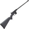 Buy Henry US Survival AR-7 Semi-Auto Rimfire Rifle