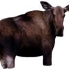 Buy Montana Decoy – Moose II Decoy